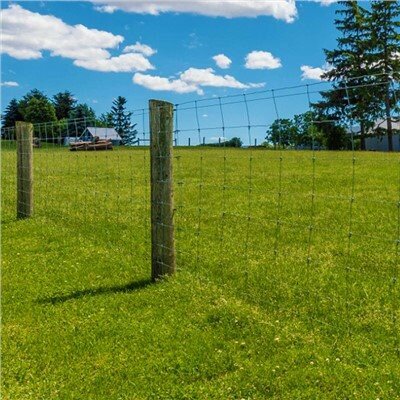 גדר חיה בחווה